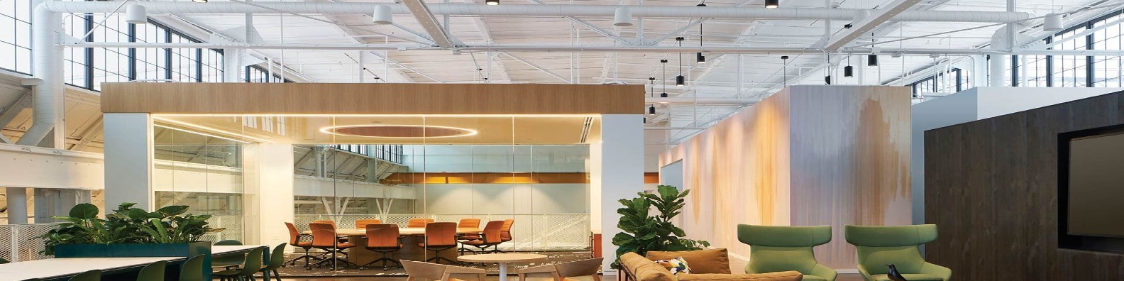 Descripción de la imagen