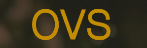 logo de OVS